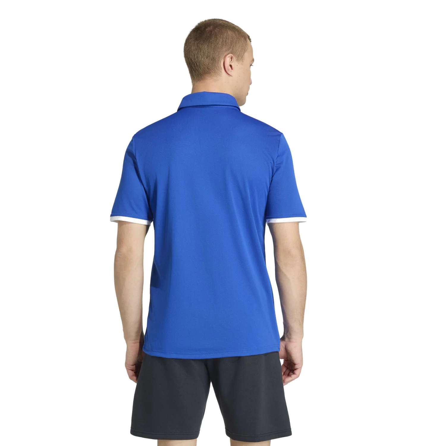 adidas Erkek Ent26 Polo Yaka Tişört JZ6665 - Görsel 5