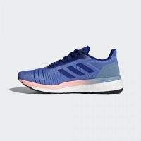 Adidas Kadın Koşu ve Yürüyüş Ayakkabısı Solar Drıve AC8139