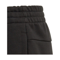Adidas Linear Eşofman Altı Siyah - EH6159